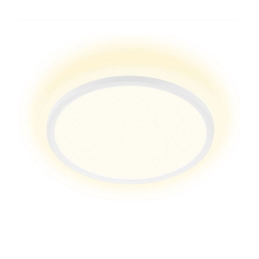 Briloner 7155-416 - LED Stropna svetilka SLIM LED/18W/230V