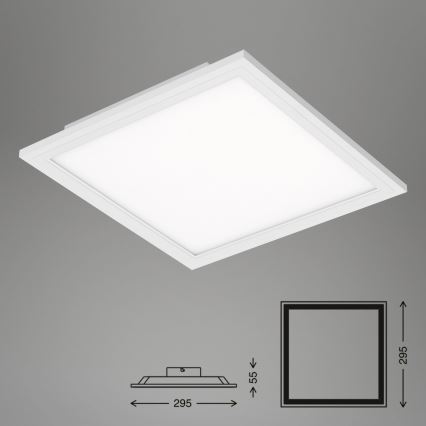 Briloner 7191-016 - LED Stropna svetilka SIMPLE LED/12W/230V