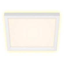 Briloner 7362-016 - LED Stropna svetilka CADRE LED/18W/230V 29,6x29,6 cm bela