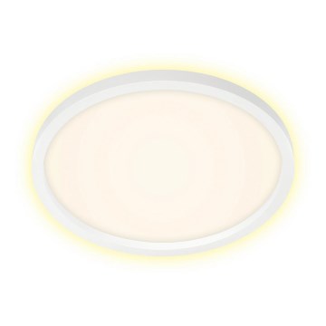 Briloner 7363-016 - LED Stropna svetilka CADRE LED/22W/230V pr. 42,5 cm bela