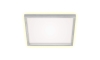 Briloner 7364-019 - LED Stropna svetilka CADRE LED/22W/230V 42,2x42,2 cm