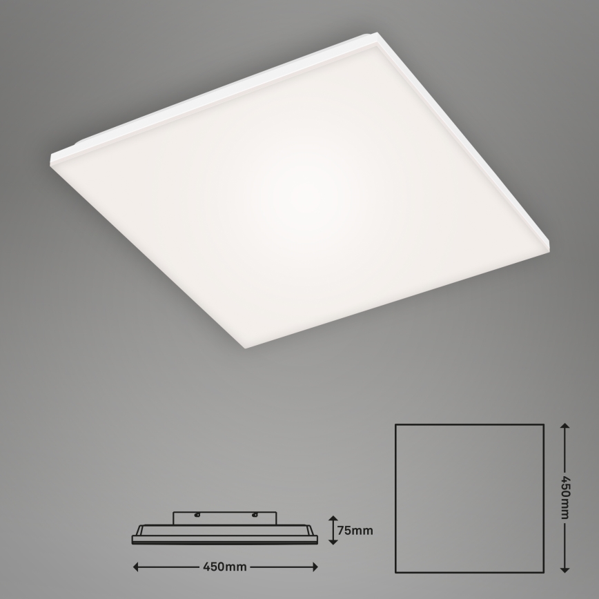 Briloner 7376-116 - LED Stropna svetilka FRAMELESS LED/24W/230V