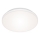 Briloner 7377-016 - LED Zatemnitvena stropna svetilka LED/12W/230V 3000-6500K + Daljinski upravljalnik