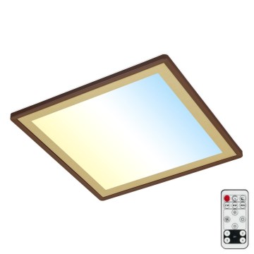 Briloner 7459-417 - LED Zatemnitvena stropna svetilka DECO LED/24W/230V 2700-6500K + Daljinski upravljalnik