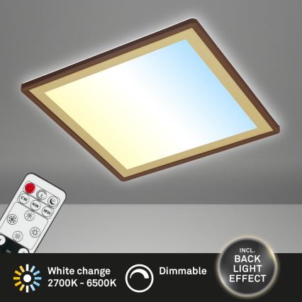 Briloner 7459-417 - LED Zatemnitvena stropna svetilka DECO LED/24W/230V 2700-6500K + Daljinski upravljalnik