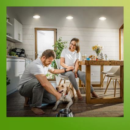 Briloner 7588036 - Komplet 3x LED kopalniških vgradnih stropnih svetil KLIRA LED/4,9W/230V 2500/3000/4000K IP44 bela