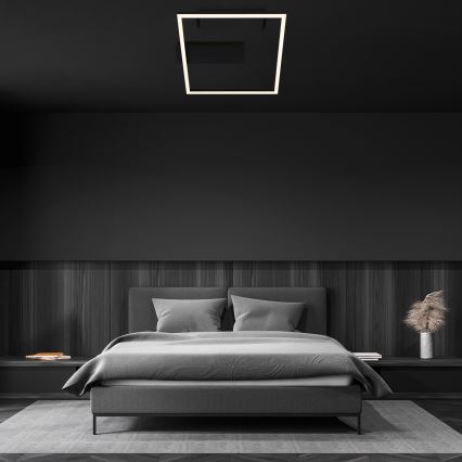 Briloner - LED stropna svetilka FRAME LED/14W/230V 3000K 30x32 cm črna