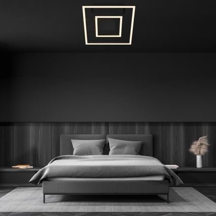 Briloner - LED stropna svetilka FRAME LED/22W/230V 3000K 30x32 cm črna