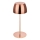 Briloner - zatemnljiva polnilna mini LED zunanja namizna svetilka, na dotik, 2,5 W/5 V, IP44, 1800 mAh, medena