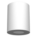 Brosline - Kopalniško točkovno svetilo 1xGU10/10W/230V IP44 belo