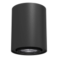 Brosline - Točkovno svetilo 1xGU10/10W/230V, črno