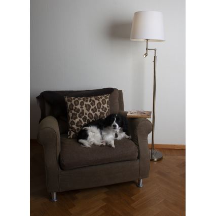 ByRydens - LED Talna svetilka ORLANDO 1xE27/5W/230V + LED/3W bela/bron pr. 36 cm