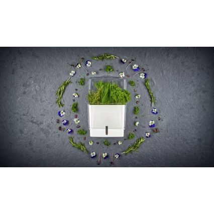 Cole&Mason - Posoda za shranjevanje sveže rezanih zelišč