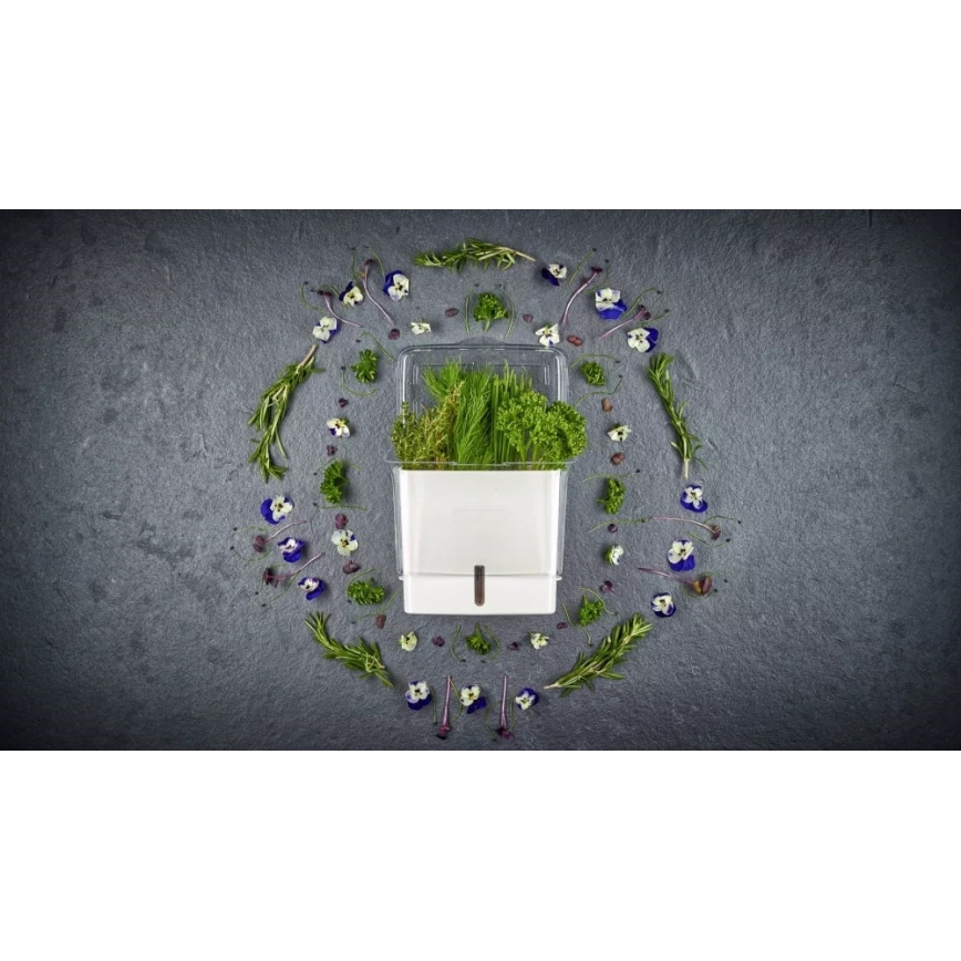 Cole&Mason - Posoda za shranjevanje sveže rezanih zelišč