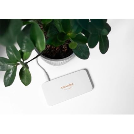 Concept KZ2010 - LED žepno kozmetično ogledalo PERFECT SKIN LED/1,5W/5V 4500-5500K 300 mAh belo