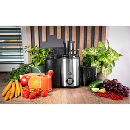 Concept LO7095 - centrifugalni sokovnik 1000 W/230 V, črna/nerjaveče jeklo