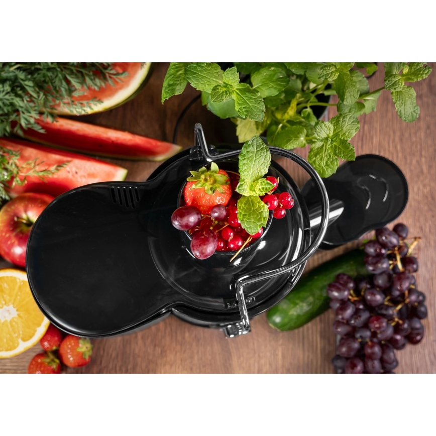 Concept LO7095 - centrifugalni sokovnik 1000 W/230 V, črna/nerjaveče jeklo