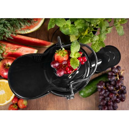 Concept LO7095 - Centrifugalni sokovnik 1000W/230V črna/nerjaveče jeklo