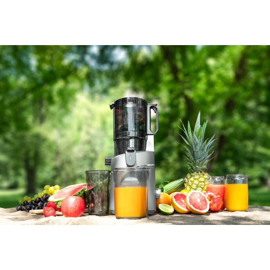 Concept LO7120 - Počasni sokovnik JUICY 250W/230V siva