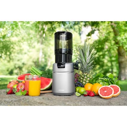 Concept LO7120 - Počasni sokovnik JUICY 250W/230V siva