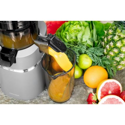 Concept LO7120 - Počasni sokovnik JUICY 250W/230V siva