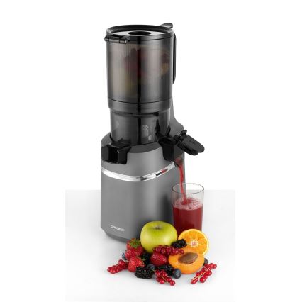 Concept LO7120 - Počasni sokovnik JUICY 250W/230V siva