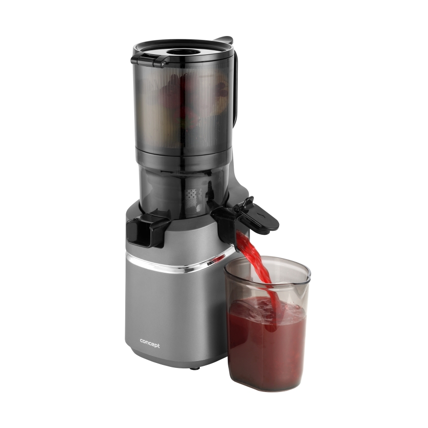 Concept LO7120 - Počasni sokovnik JUICY 250W/230V siva