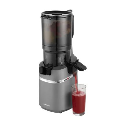 Concept LO7120 - Počasni sokovnik JUICY 250W/230V siva