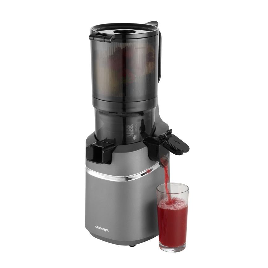 Concept LO7120 - Počasni sokovnik JUICY 250W/230V siva