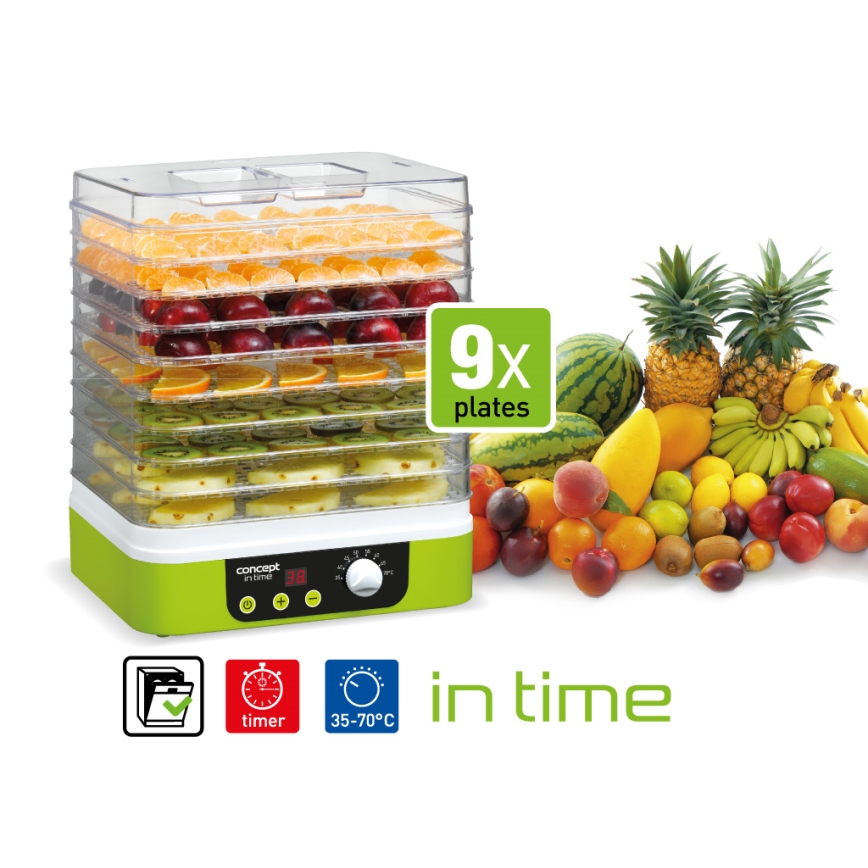 Concept SO1060 - Sušilnik hrane 260W/230V zelena