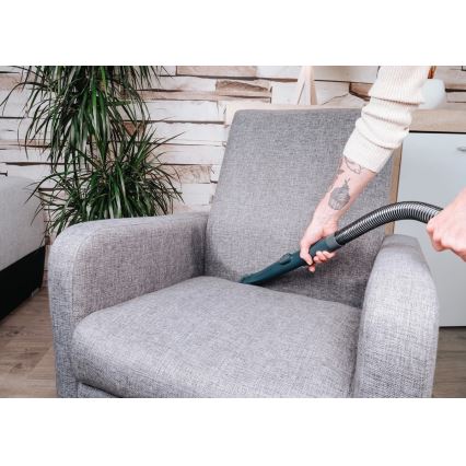 Concept TP2010 - Čistilec preprog DEEPCLEAN 450W/230V moder