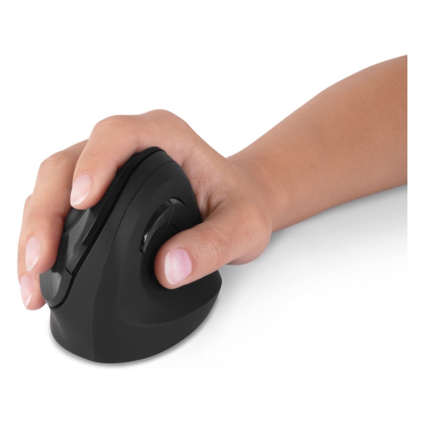 CONNECT IT CMO-2700-BK - Ergonomska brezžična miška 800/1200/1600 DPI 1xAA črna