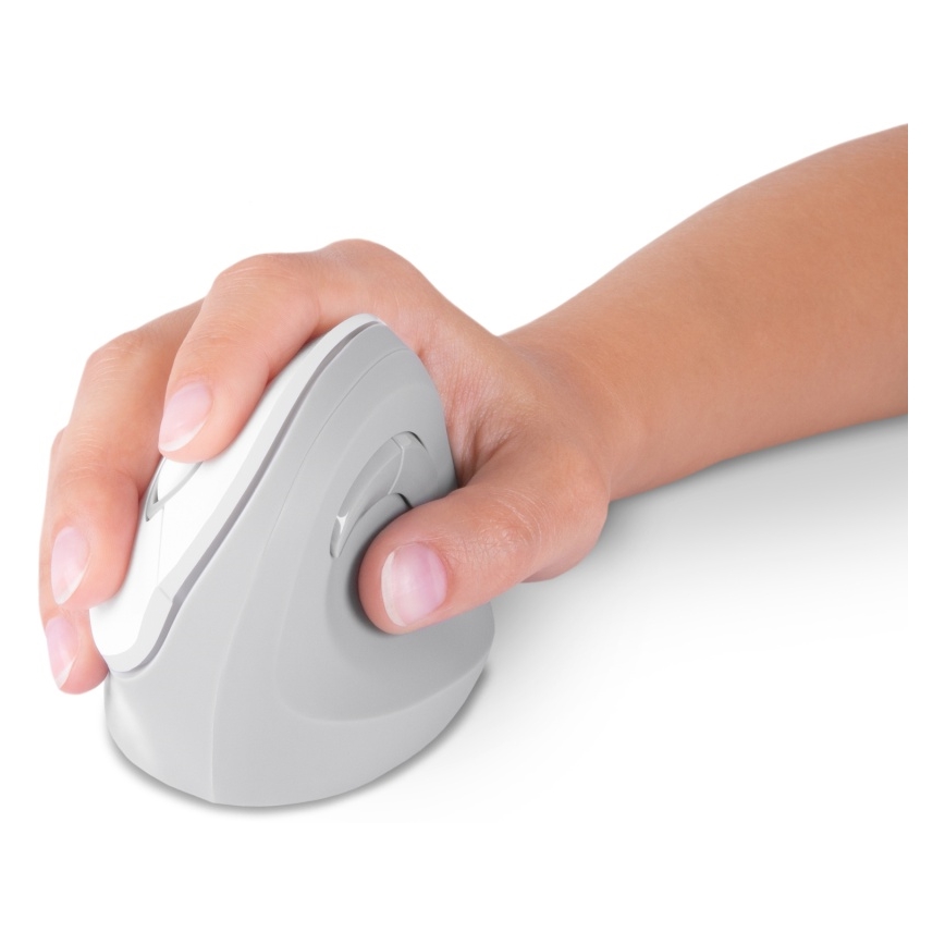CONNECT IT CMO-2700-WH - Ergonomska brezžična miška 800/1200/1600 DPI 1xAA bela