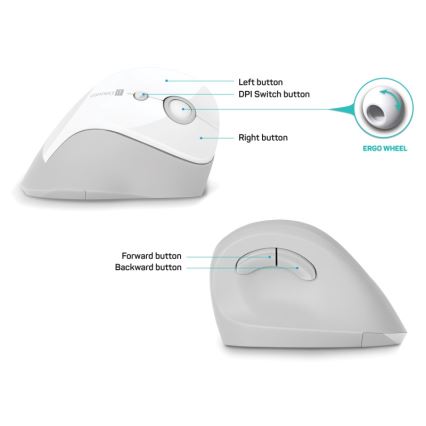 CONNECT IT CMO-2700-WH - Ergonomska brezžična miška 800/1200/1600 DPI 1xAA bela