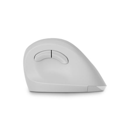 CONNECT IT CMO-2700-WH - Ergonomska brezžična miška 800/1200/1600 DPI 1xAA bela