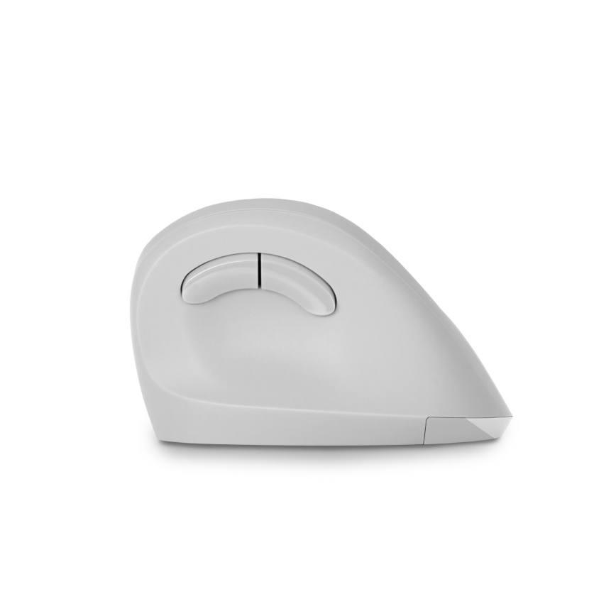 CONNECT IT CMO-2700-WH - Ergonomska brezžična miška 800/1200/1600 DPI 1xAA bela