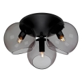 Cottex - Stropna svetilka CAPELLA 3xE14/40W/230V premer 37 cm dimna/črna