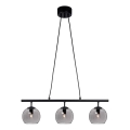 Cottex - Viseči lestenec na kablu CAPELLA 3xE14/40W/230V dimljeno steklo/črna