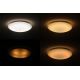 Dalen DL-C415TXW - LED Zatemnitvena stropna svetilka STAR SKY LED/38W/230V
