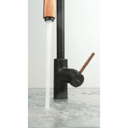 Deante BCA_B64M - Kuhinjska pipa ASTER, črna/medenina