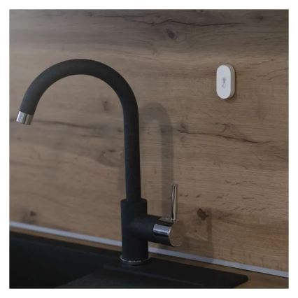 Digitalna brezžični termometer GoSmart 1×CR2032