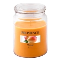 Dišeča sveča MANGO 510 g 85-95 ur.