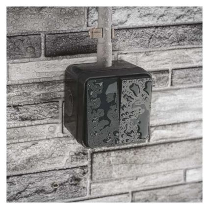 Domače 2‑tipkno stikalo za izmenični tok, št. 6+6, IP55, antracit