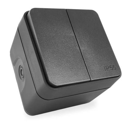 Domače 2‑tipkno stikalo za izmenični tok, št. 6+6, IP55, antracit