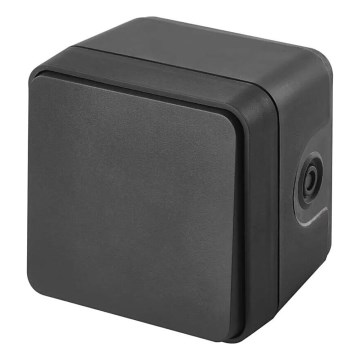Domače stikalo izmenično 250V/10A IP55
