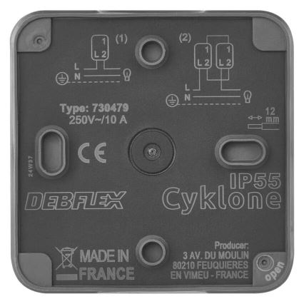 Domače stikalo izmenično 250V/10A IP55