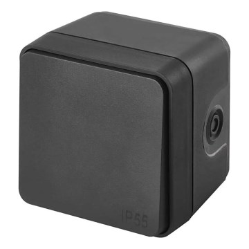 Domače vklopno stikalo 250V/10A IP55