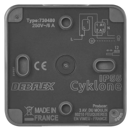 Domače vklopno stikalo 250V/10A IP55