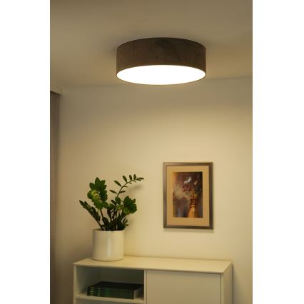 Duolla - LED Stropna svetilka CORTINA LED/26W/230V pr. 30 cm 4000K rjava