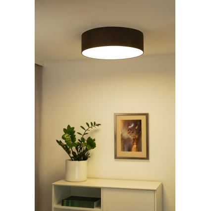 Duolla - LED Stropna svetilka CORTINA LED/26W/230V pr. 45 cm 4000K rjava